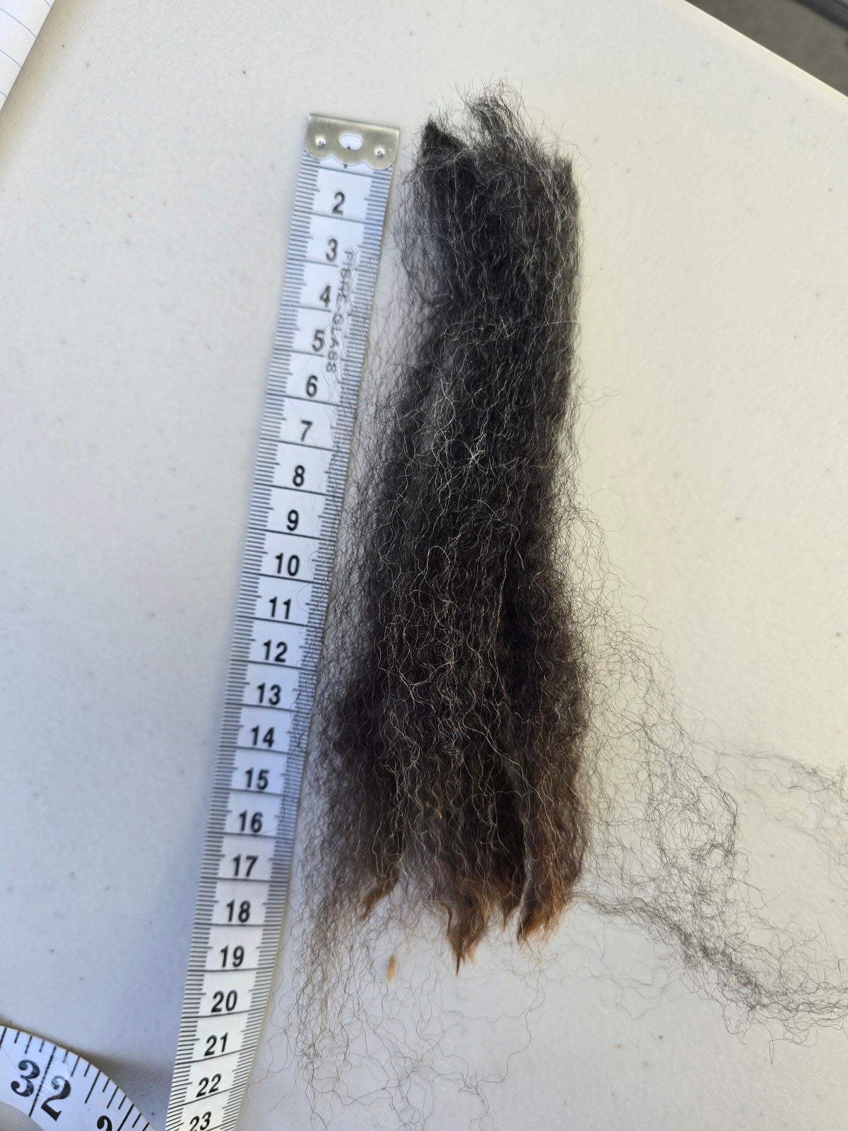 Joss (4.7kg)