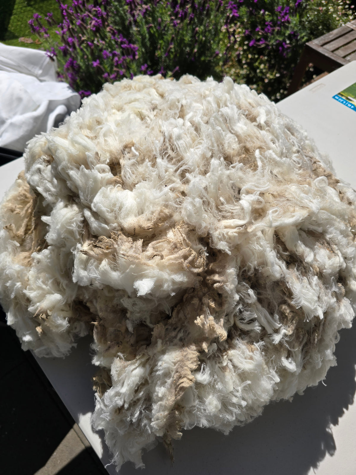 Superfine Fleece (1.7kg)