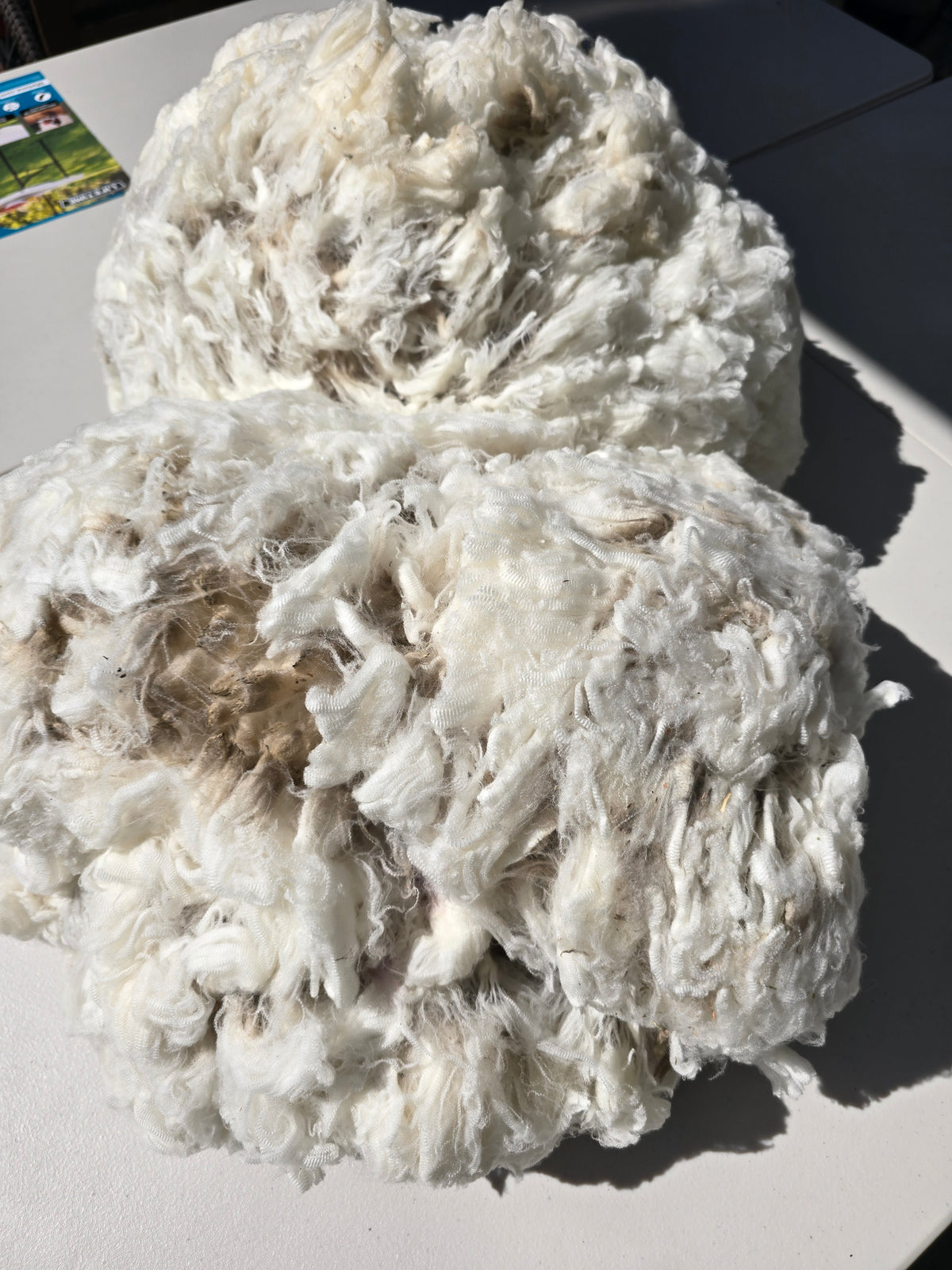 Mum's Fleece (1.6kg)