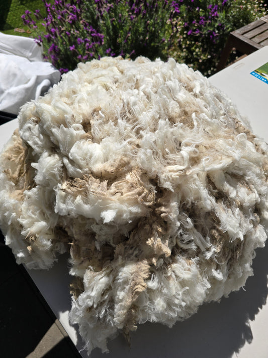 Superfine Fleece (1.7kg)