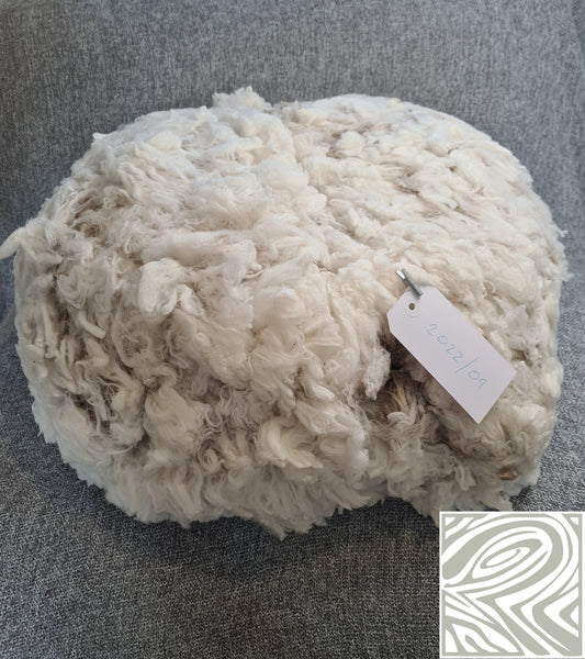 22/09 Superfine Merino 1.7kg