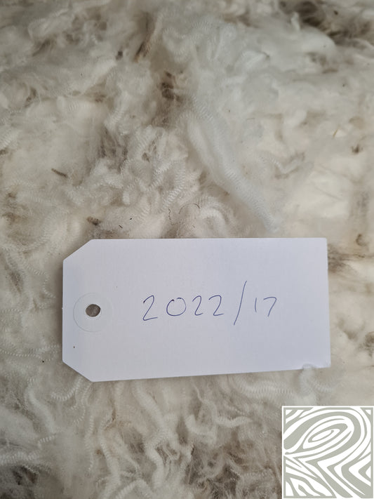 22/17 Superfine Merino 1kg