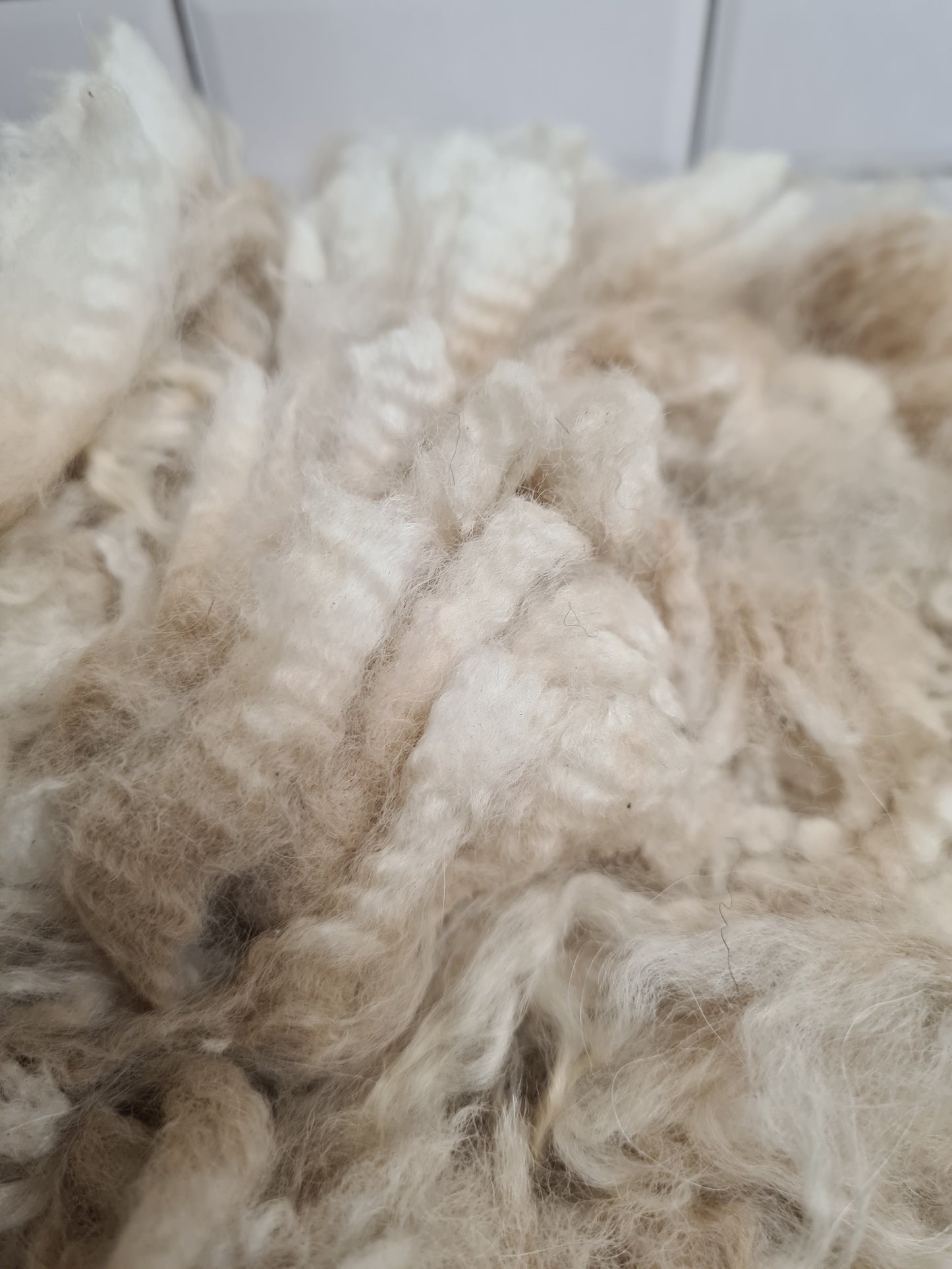 Alpaca Fleece 600g