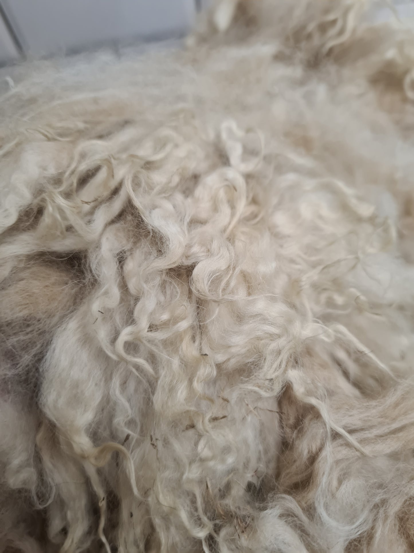 Alpaca Fleece 600g