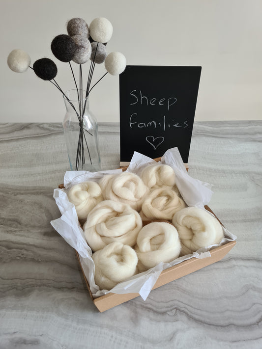 The Sheep Families Box