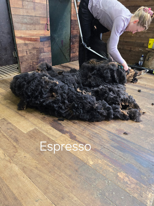 Espresso(2.1kg)