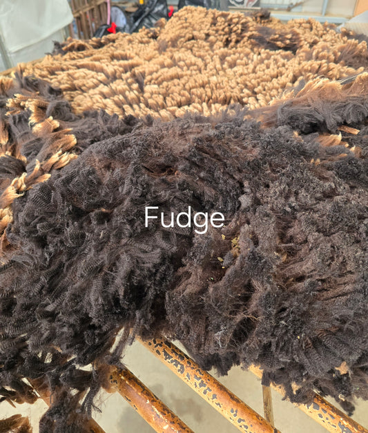 Fudge (2.3kg)