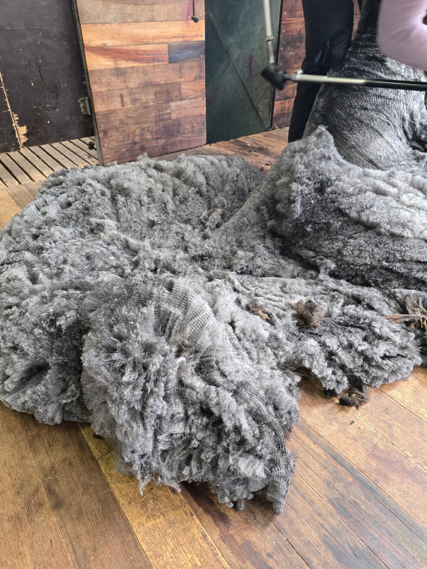 Silver (2.8kg)