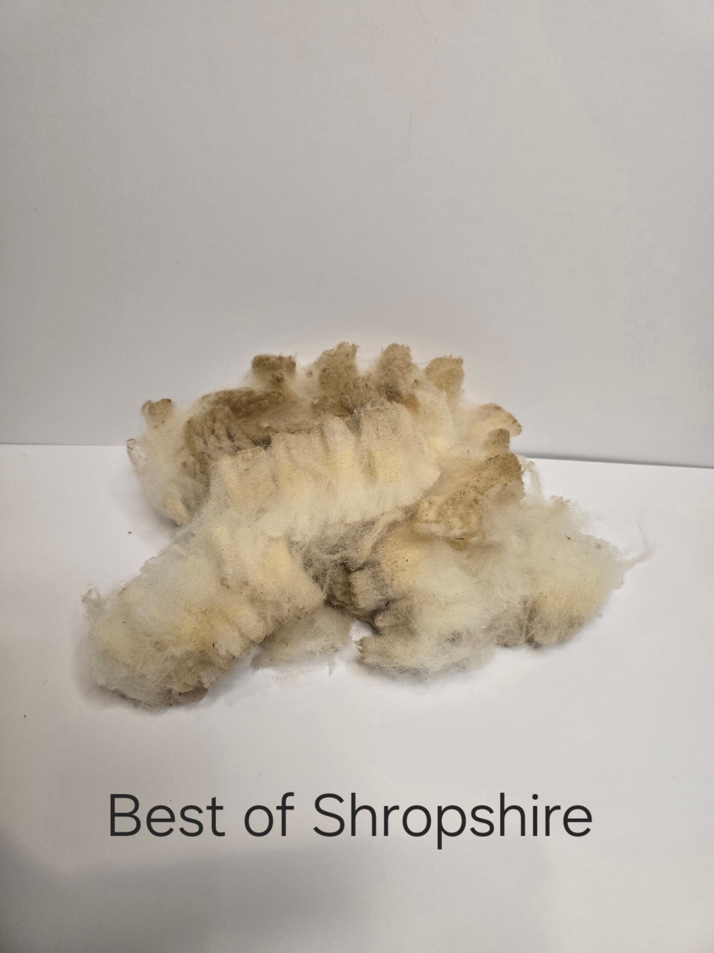 Shropshire (1.3kg)
