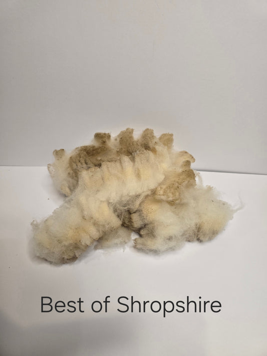 Shropshire (1.3kg)