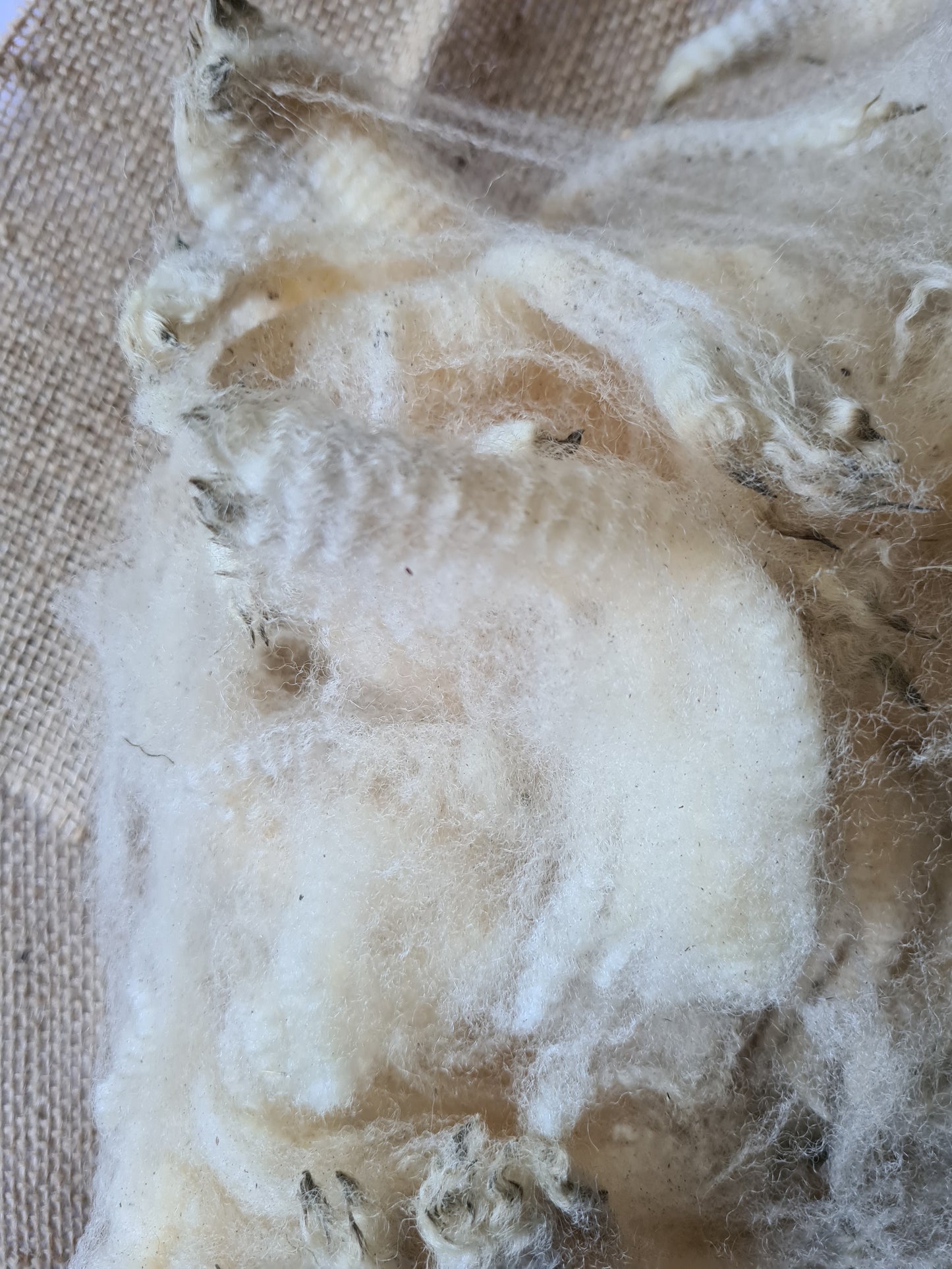 Crossbred Fleece 300g