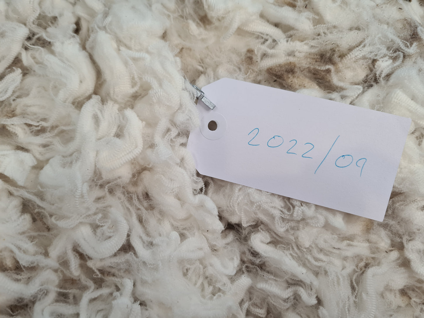 22/09 Superfine Merino 1.7kg