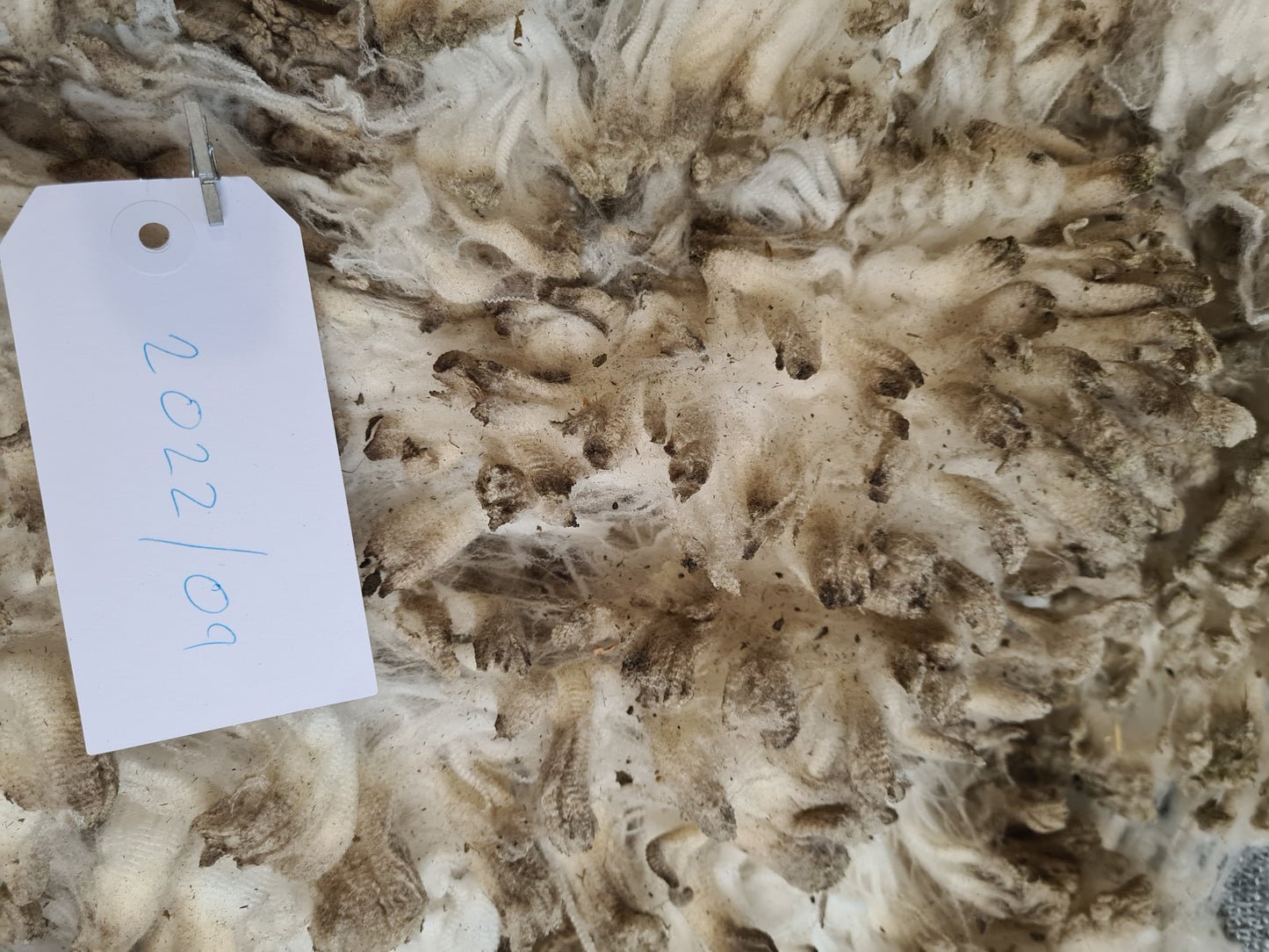 22/09 Superfine Merino 1.7kg