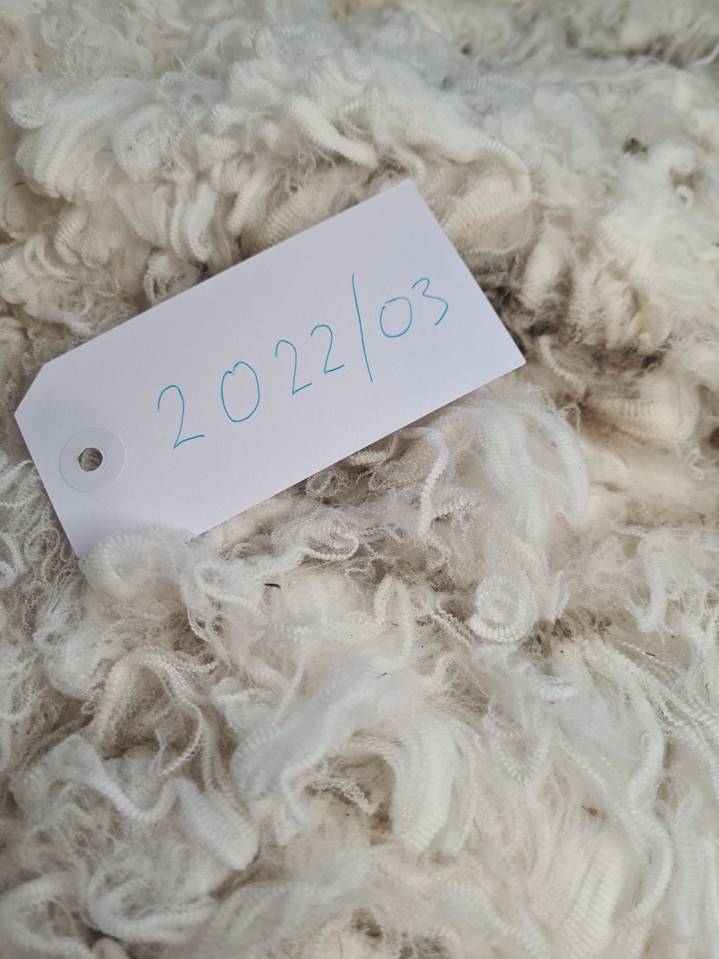 22/03 Superfine Merino 1.6kg