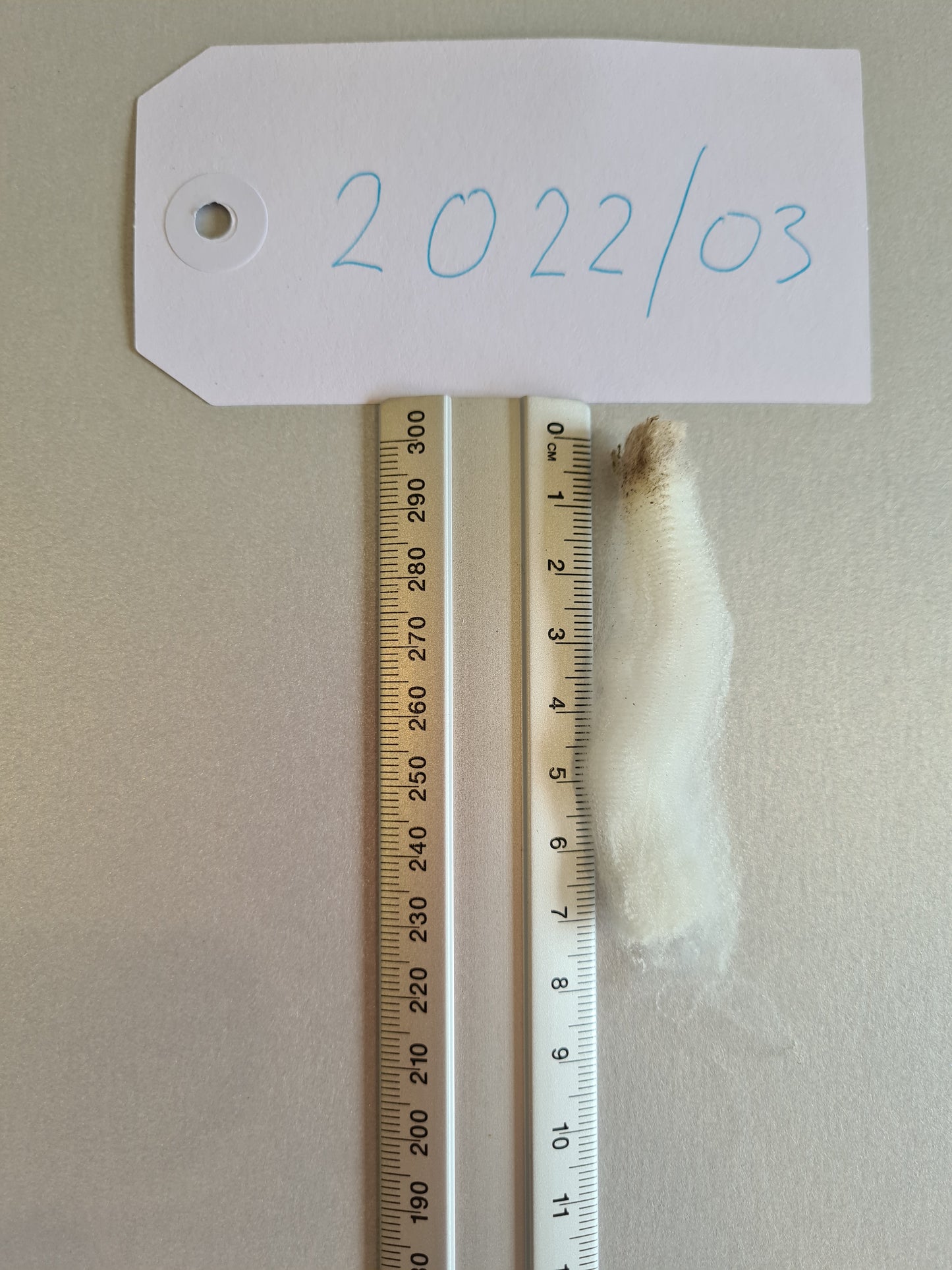 22/03 Superfine Merino 1.6kg