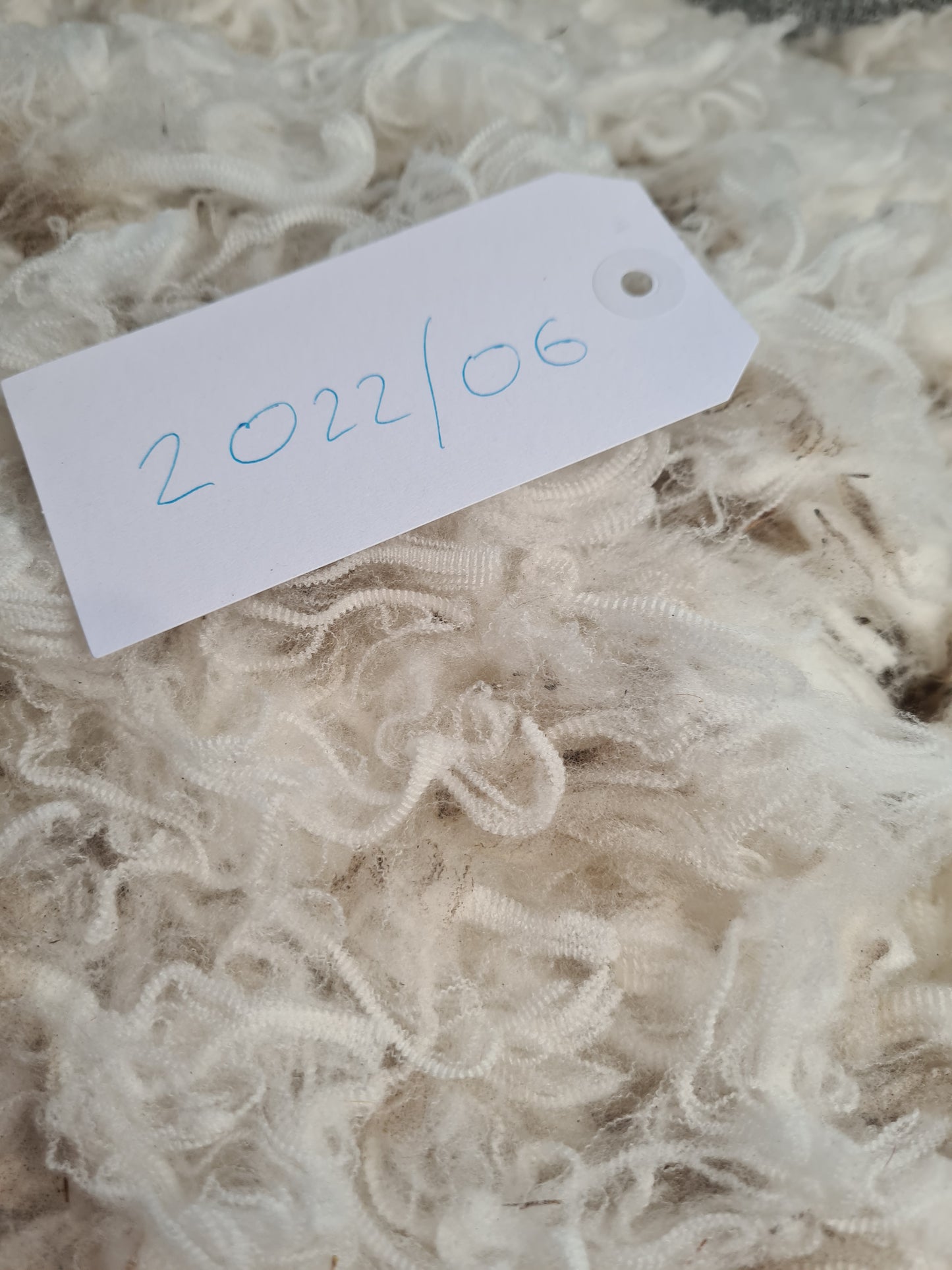 22/06 Superfine Merino 1.5kg