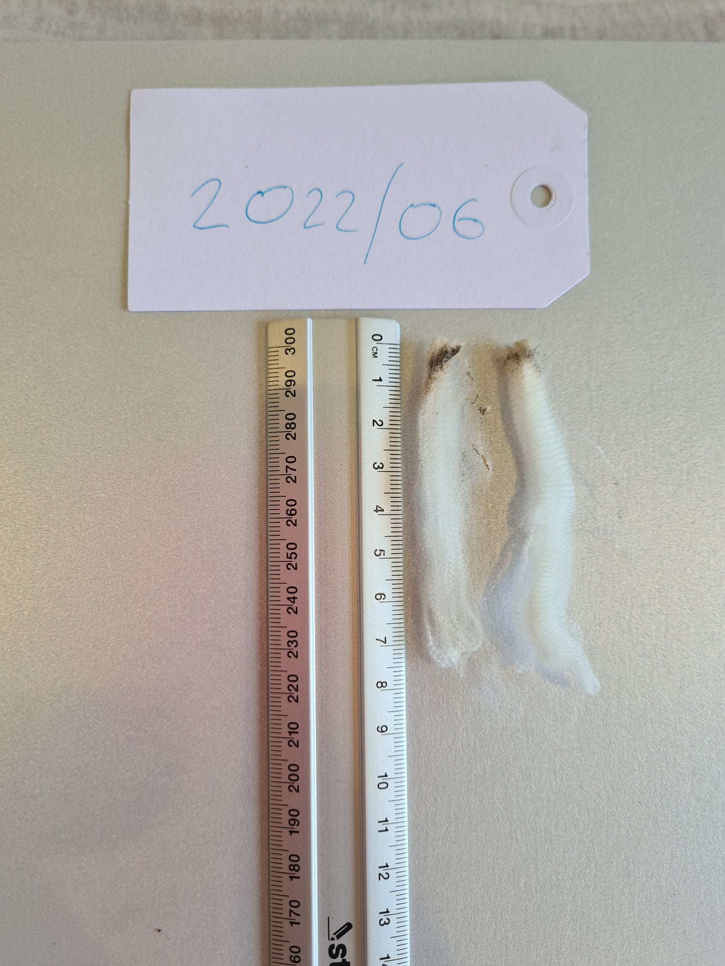 22/06 Superfine Merino 1.5kg