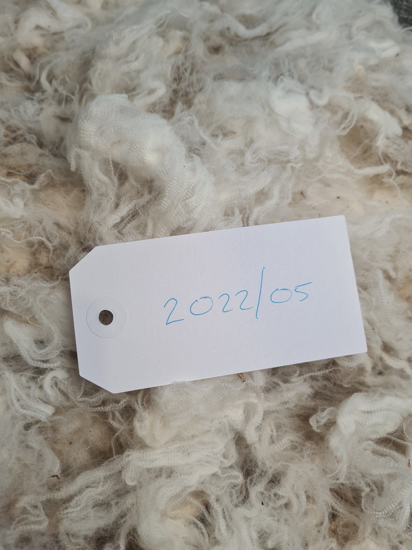 22/05 Superfine Merino 1.6kg