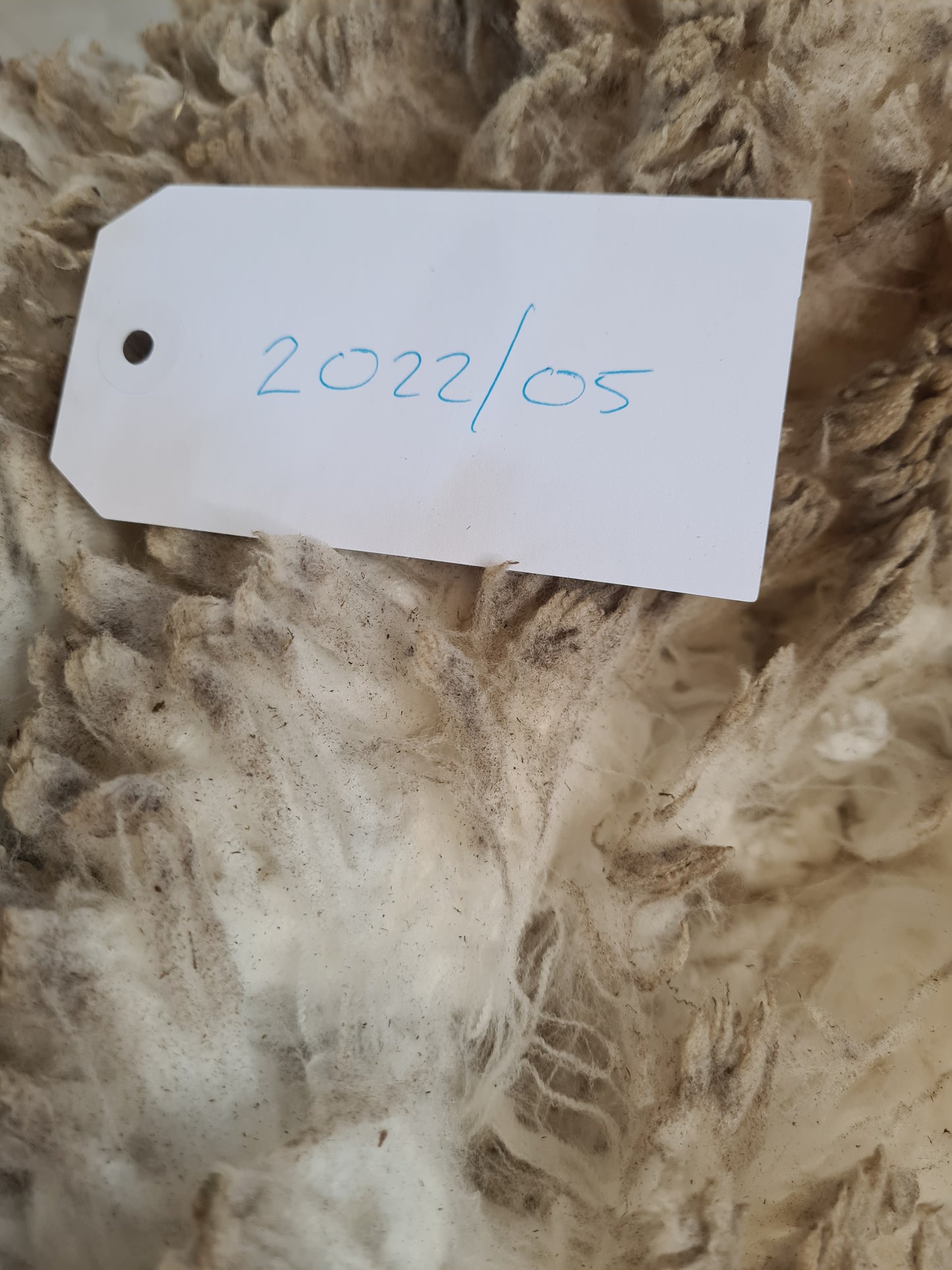 22/05 Superfine Merino 1.6kg