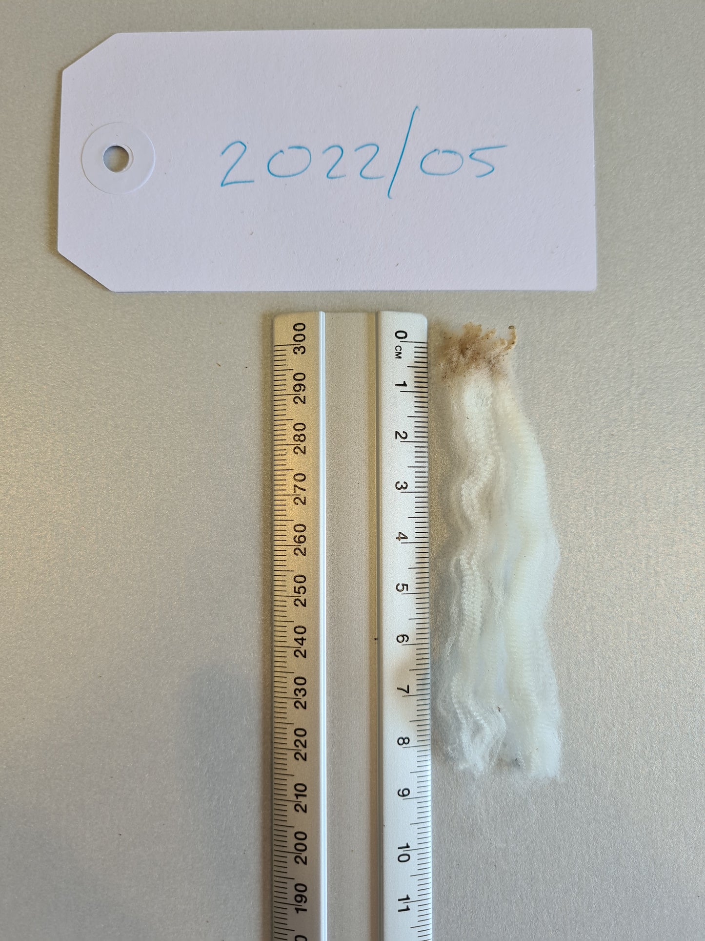 22/05 Superfine Merino 1.6kg