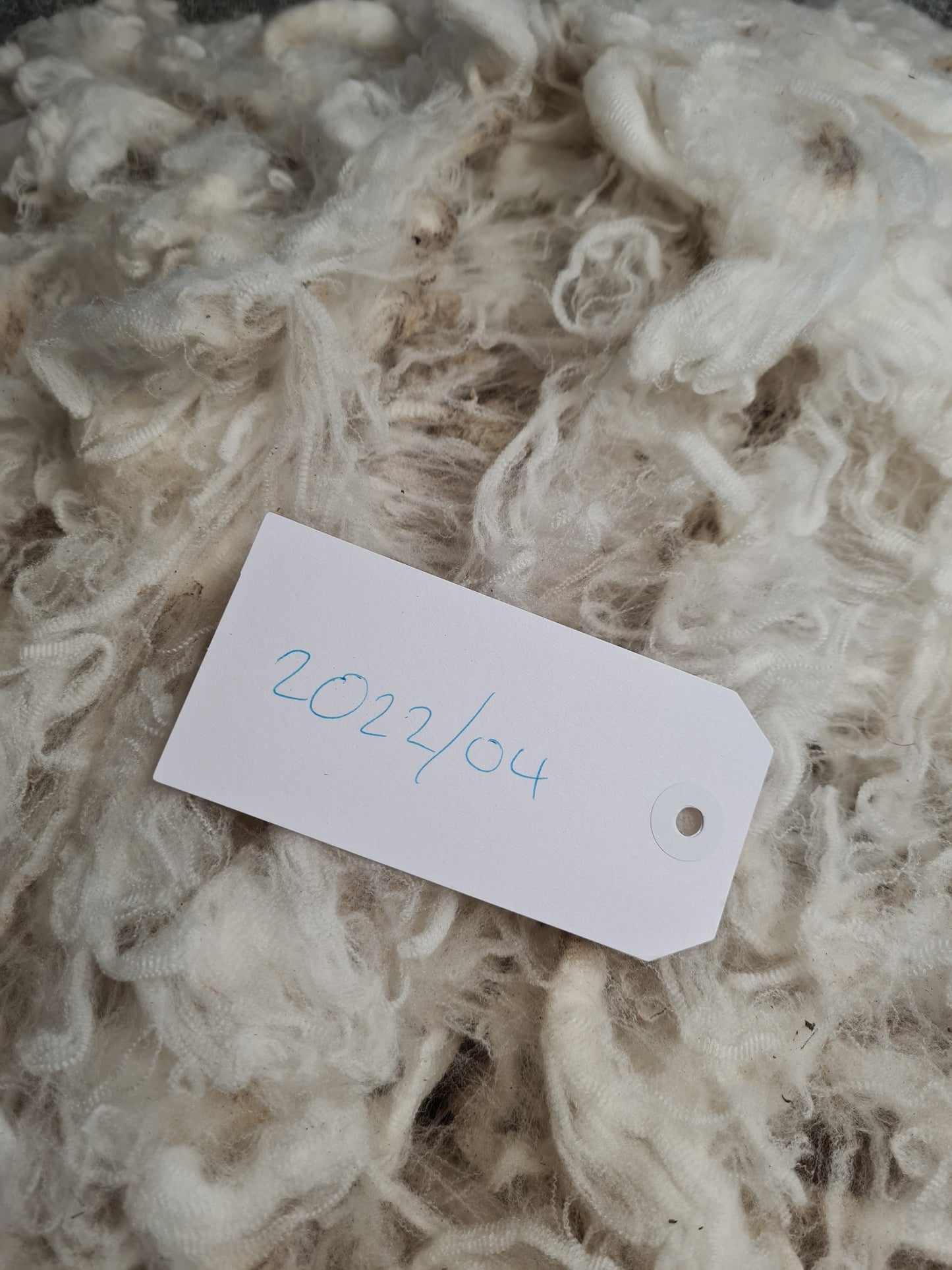 22/04 Superfine Merino 1.3kg