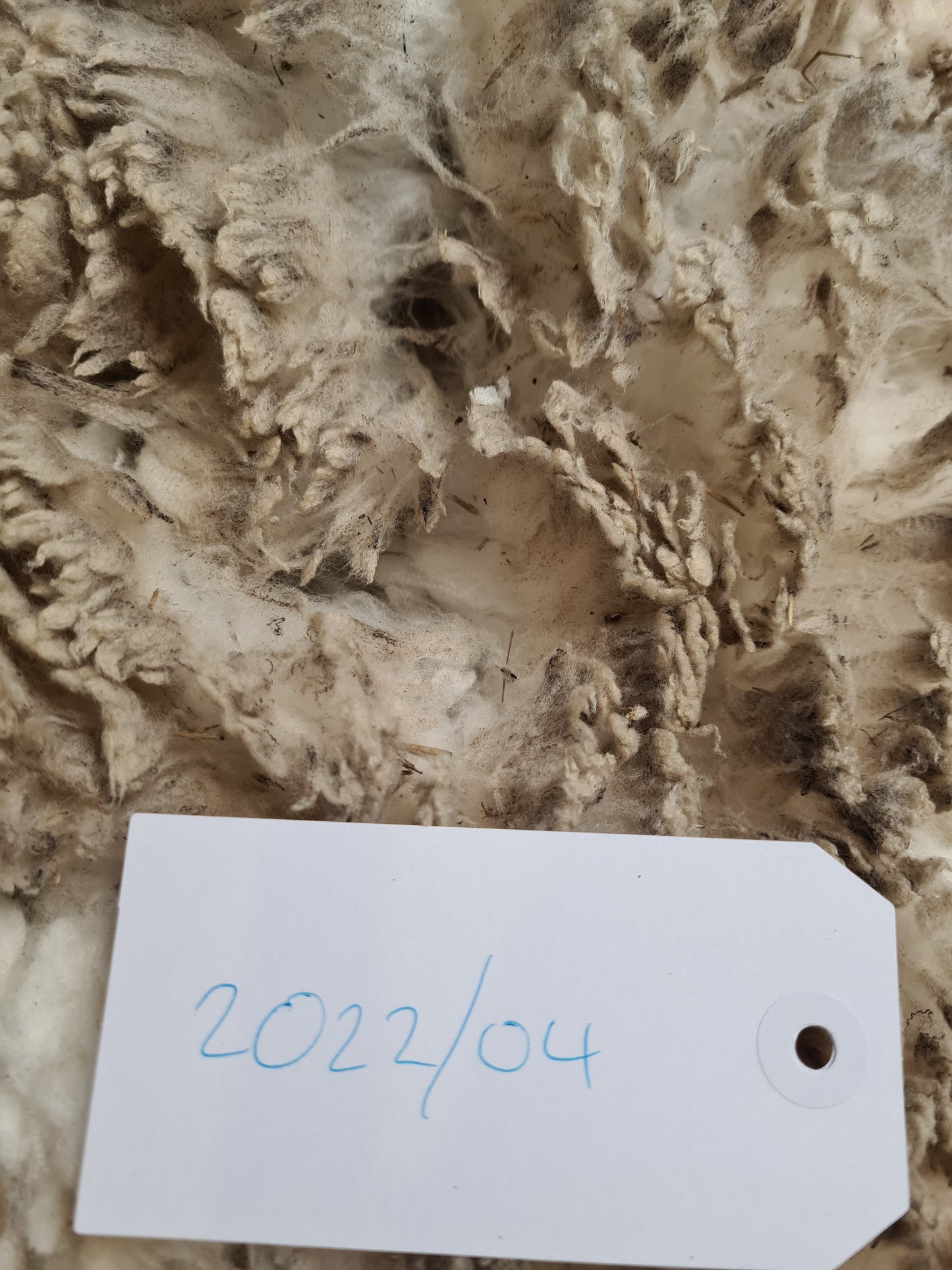 22/04 Superfine Merino 1.3kg