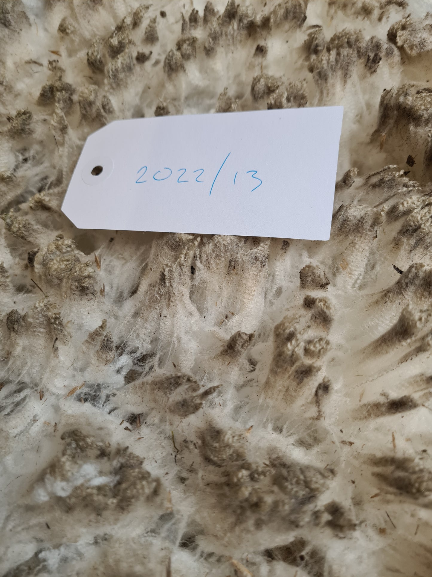 22/13 Superfine Merino 1.2kg