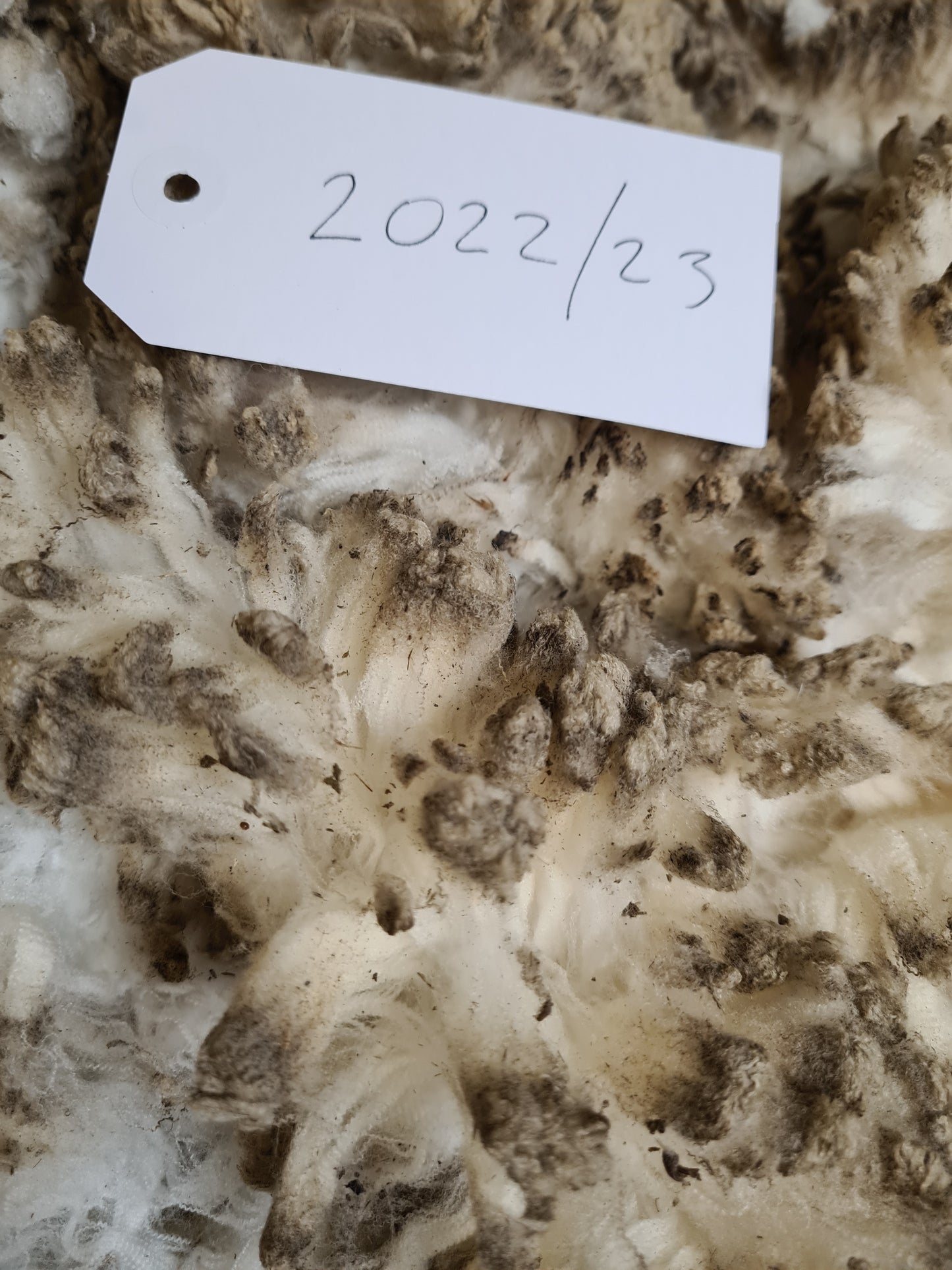 22/23 Superfine Merino 1.3kg